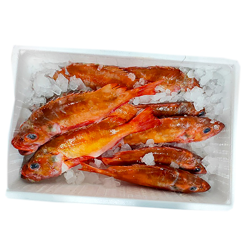 GALLINETA NÓRDICA (0,7-2 kg pieza)