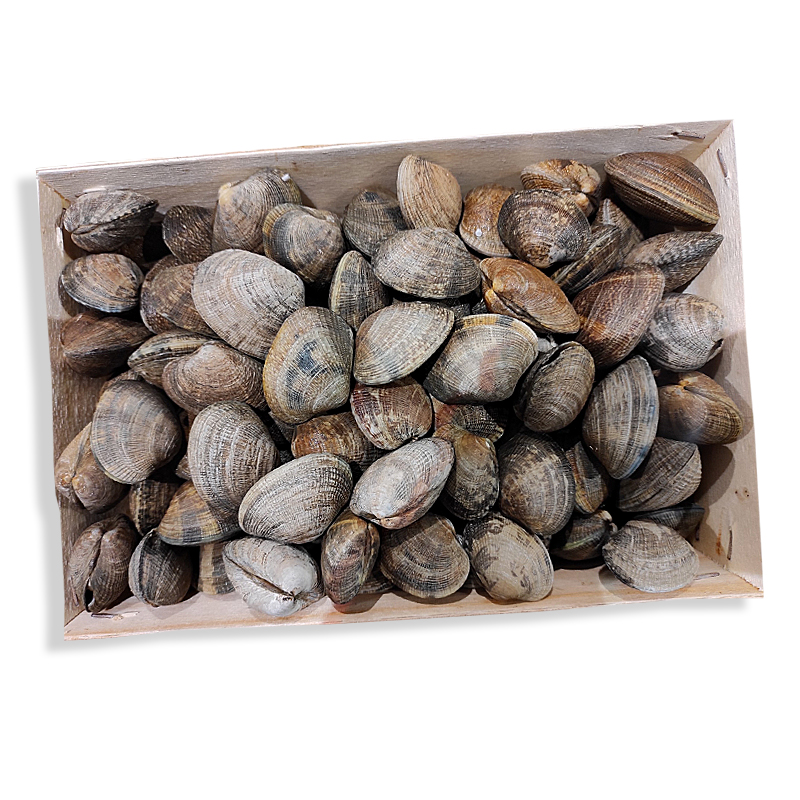 ALMEJA SALVAJE JAPONICA 60/70 (Caja 1 kg aprox)