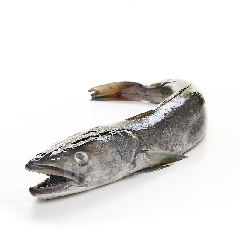 MERLUZA  PALANGRE ENTERO (2-2,9 kg/u)