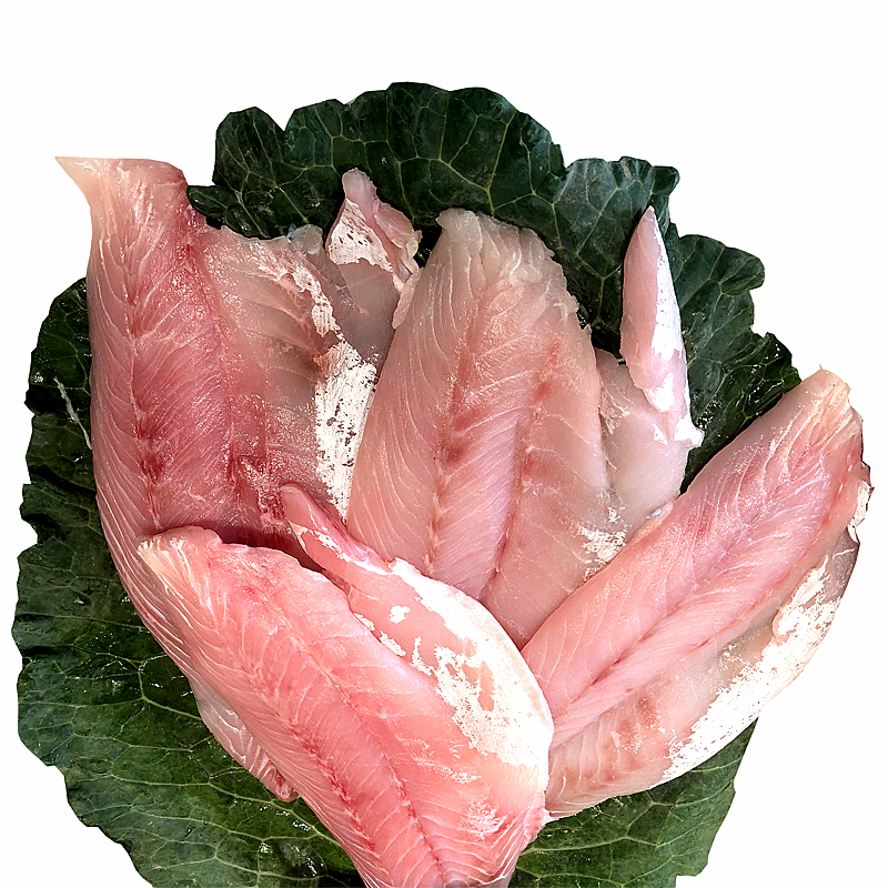 PERCA FILETE (400-600gr/un) RF. 3k/ca