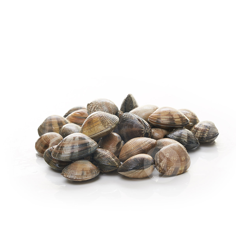 ALMEJA GALLEGA GRANDE (40-50p/kg) 1Kg Aprox.