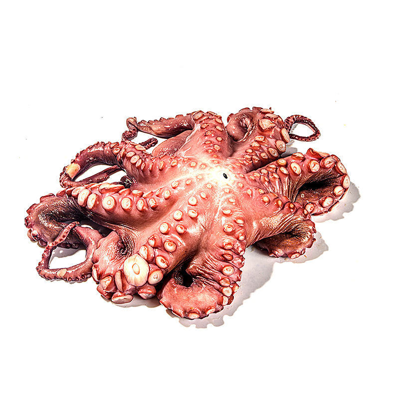 PULPO COCIDO ENTERO 1,5-2 Kg un