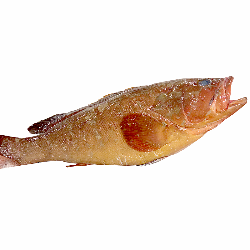 MERO ENTERO 2-4 kg/un