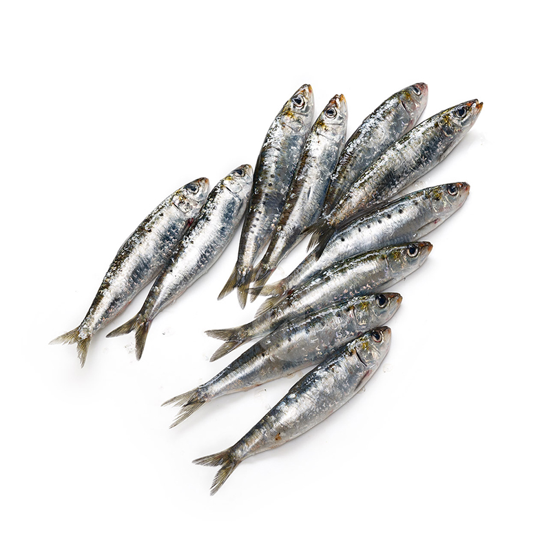 SARDINA PETITA (30-50 peces quilo)