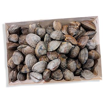 ALMEJA SALVAJE JAPONICA 60/70 (Caja 1 kg aprox)