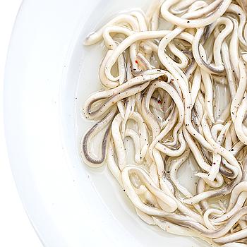 ANGULA FRESCA, SELECTA (100 g) 