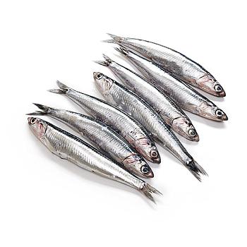 BOQUERÓN GRANDE (40-60 piezas kilo)
