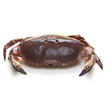 BOU DE MAR 500-700 gr/un