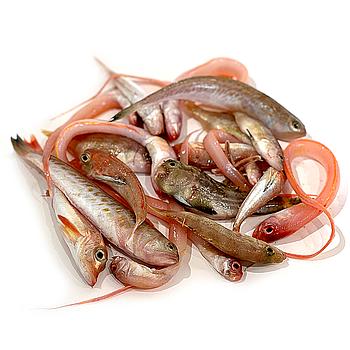 PEIX DEL MEDITERRANI PER A SOPA (6-10 peces quilo)